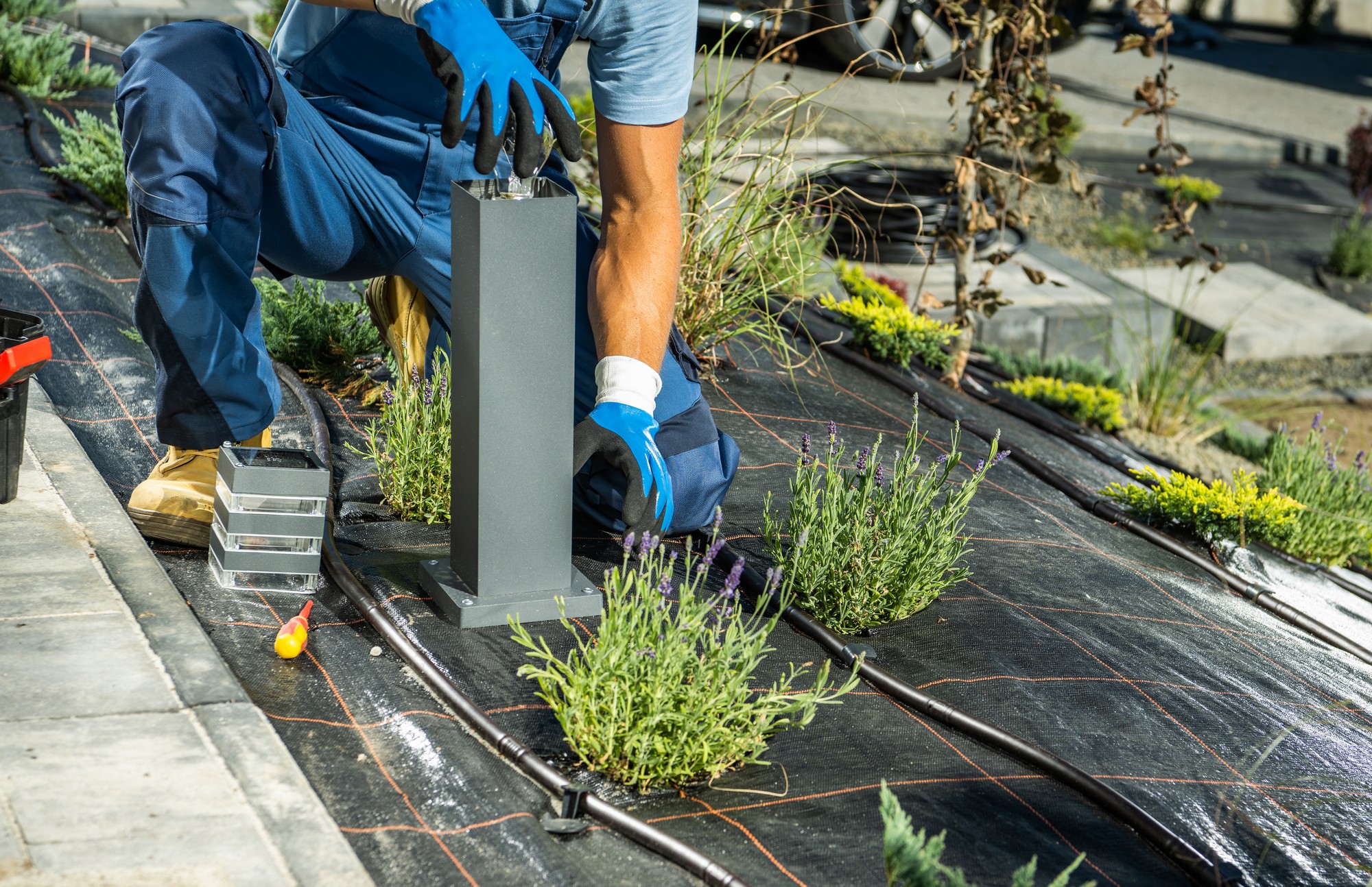 Landscaping Worker Installing Bulb Inside Small Ga 2022 12 16 11 48 15 Utc