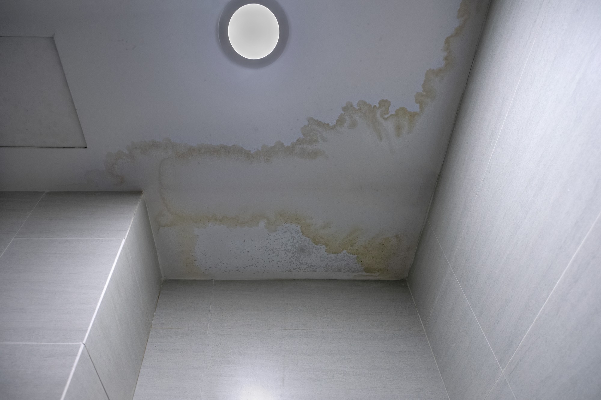 Mildew Stains At Ceiling 2022 11 01 04 34 38 Utc