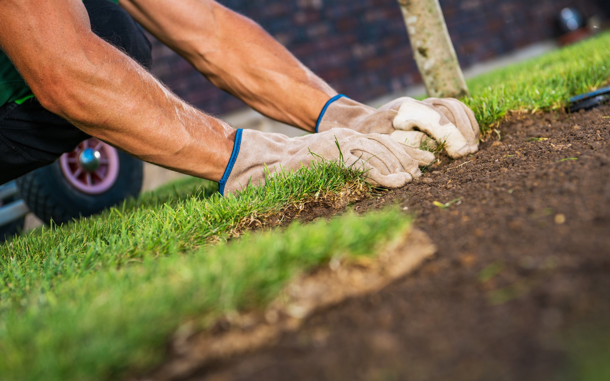 Landscaping Services in Highcliffe | Priority Roofing & Construction-1