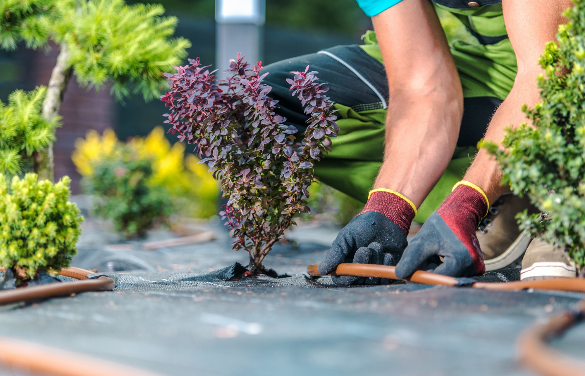 Professional Landscaping Services in Romsey | Priority Roofing & Construction-1