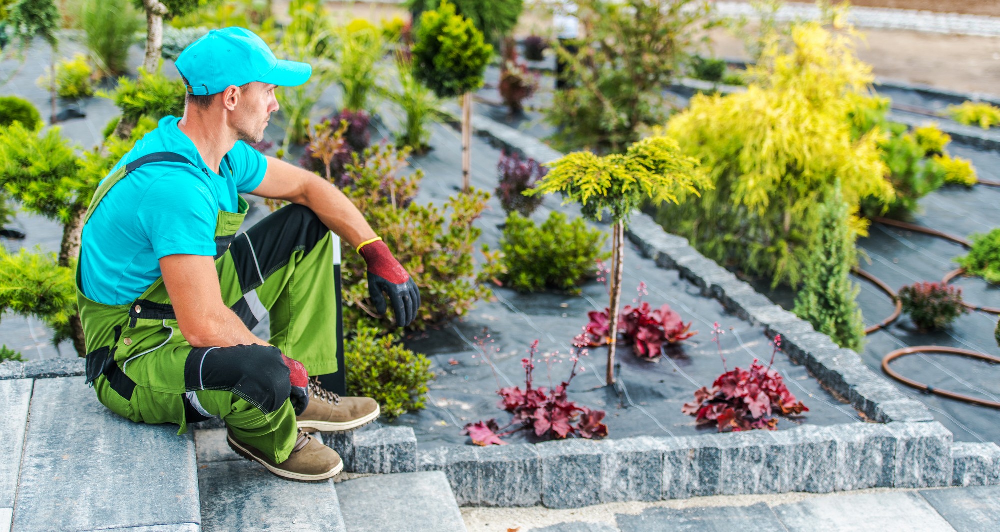 Landscaping Services in Highcliffe | Priority Roofing & Construction-0